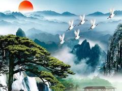 1990年属马32岁会结婚吗 2022年生肖马运势好坏参半
