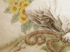属蛇人2023年5月运势如何