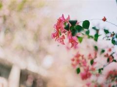 4月金牛座脱单率高吗 终于等到幸福降临