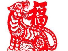 生肖女虎和男鸡会相配吗
