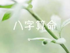 己丑日生人命运大全