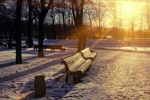 丙辰日柱男命看妻子外貌特征 第一运势网