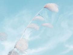 壬寅日生人命运大全