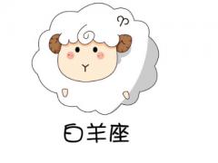 白羊座在什么领域最可能成功