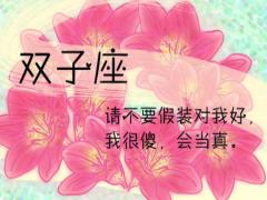 双子座和什么座最不配
