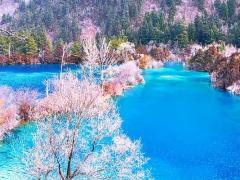 2月17日生人命运怎么样