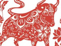 2009年出生的属牛人命运如何