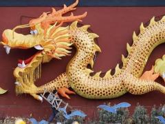 生肖男兔和生肖女龙的爱情
