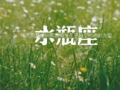 什么样风格的水瓶座女生最受男生欢迎