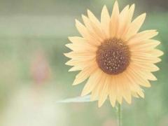 2021年正月初一出生好不好