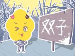 双子座丈夫疼爱老婆的方式
