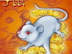 亥时出生的属鼠人命运如何