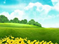 5月11日出生什么命运性格如何