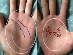 金牛座的女生怎么追