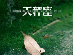 天秤男喜欢上你的征兆都有哪些