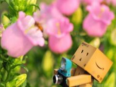 7月1日生人命运怎么样