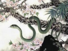 属蛇男生找老婆有哪些要求