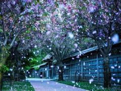 2021年三月十三日出生命运