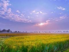 5月17日生人命运怎么样