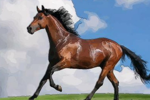 女牛男马在一起会好吗由于你们两个生肖的个性是彻底不一样的,一个