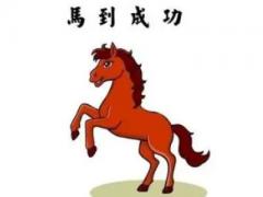属马男人的优点介绍