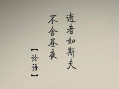 庚申日柱女命好不好