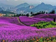 6月26日生人命运怎么样