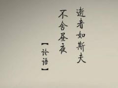 辛亥日柱女命好不好