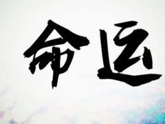查戊午年出生人的命运如何