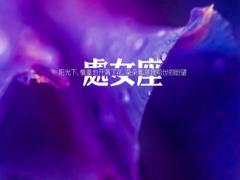 处女座会选择面包还是爱情