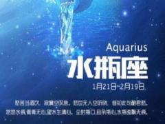 白羊座和水瓶座配对指数