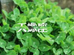 怎样让天蝎男彻底离不开你
