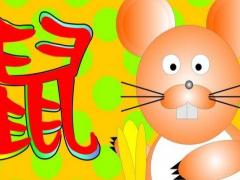 辰时的属鼠人的命运如何