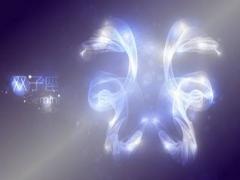 双子男喜欢一个人的表现