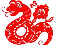 在恋爱中属蛇男生会有怎样的心理活动