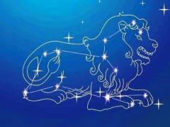 最适合狮子座的表白方法