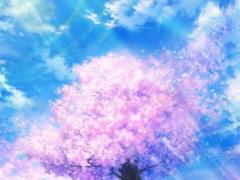 1月24日生人命运怎么样