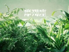 什么样风格的摩羯座女生最受男生欢迎