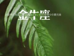 怎样让金牛男彻底离不开你