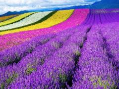 5月14日生人命运怎么样