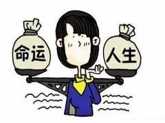 八字财运好的女命是什么样的