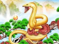哪几个月出生的属蛇男命最好,几月出生的命运大富大贵