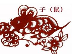 丑时的属鼠人的命运如何