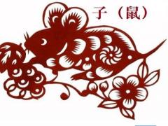 鼠年女孩的命运如何