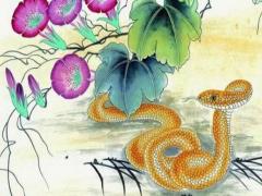 蛇年8月出生是什么命运