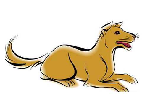 1982年属狗在2022年财运怎么样