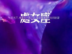 处女座是什么性格的人