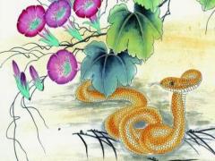 属蛇农历一月份出生的命运如何