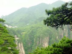 辛酉年出生人的命运如何
