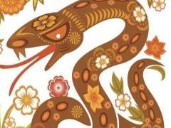 未时的属蛇人的命运如何